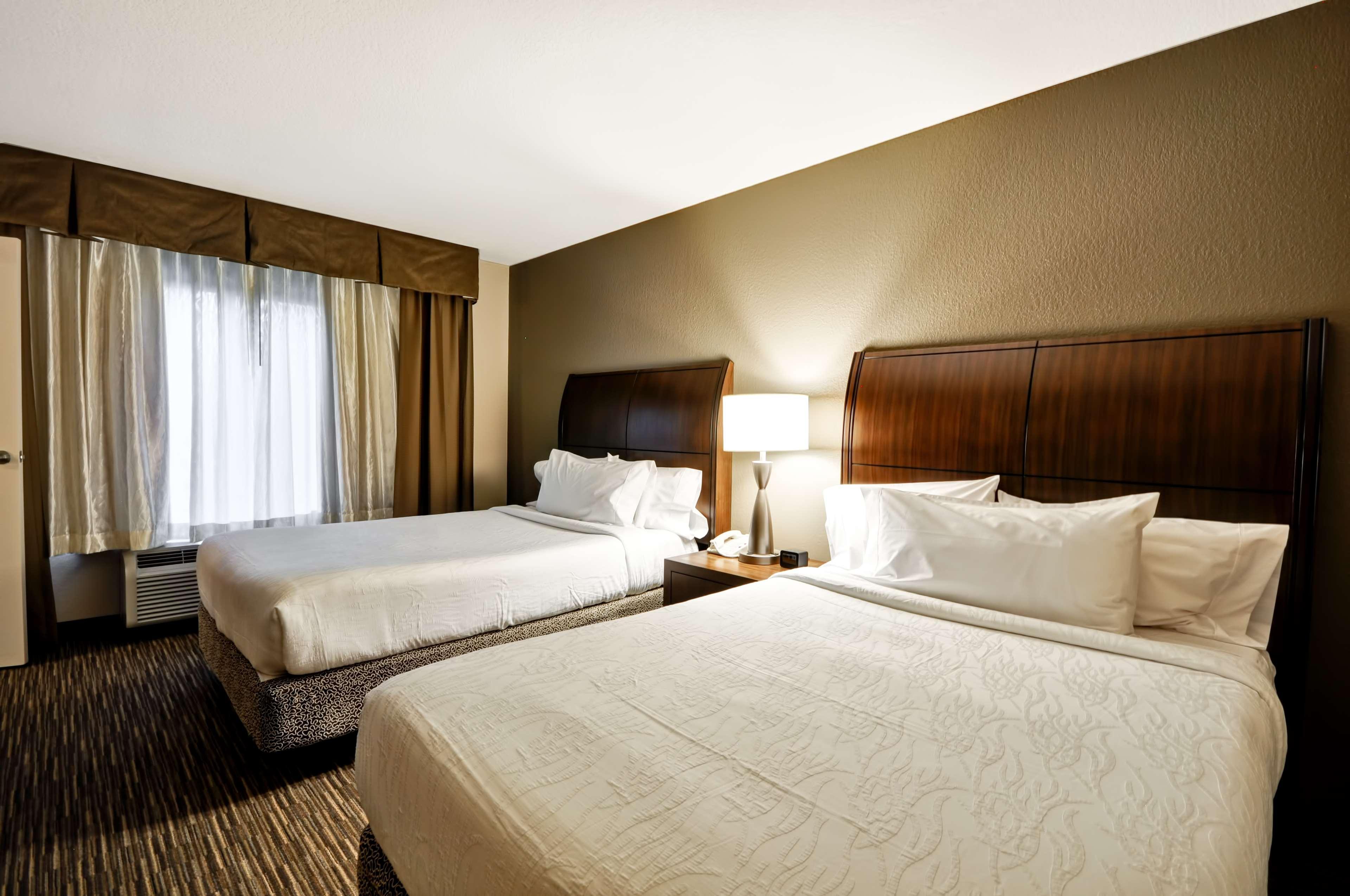 Hilton Garden Inn Tampa North Temple Terrace Exterior foto