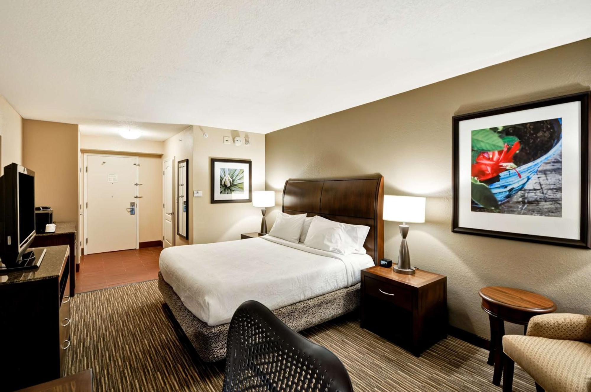 Hilton Garden Inn Tampa North Temple Terrace Exterior foto